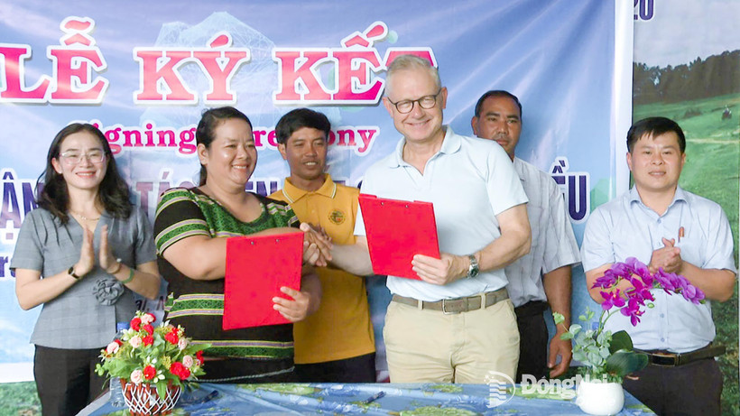 Тхи Кхыи, директор кооператива органического кешью «Чангко Булак», подписывает соглашение о закупке кешью с представителем компании ООО «Intersnack Vietnam». 