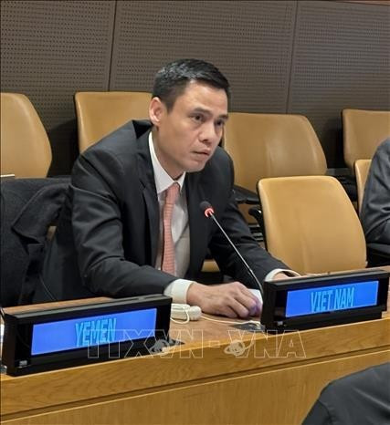 Заместитель министра иностранных дел Данг Хоанг Зянг. (Фото: ВИА) 