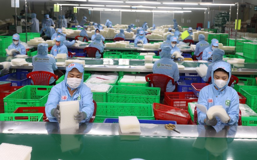 Рабочие сортировали рисовую бумагу на предприятии Tan Nhien Co. Ltd. в провинции Тайнинь. (Фото: ВИA)