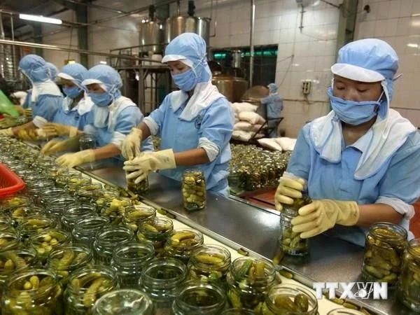 Рабочие обрабатывают сельскохозяйственную продукцию для экспорта. (Фото: ВИA)