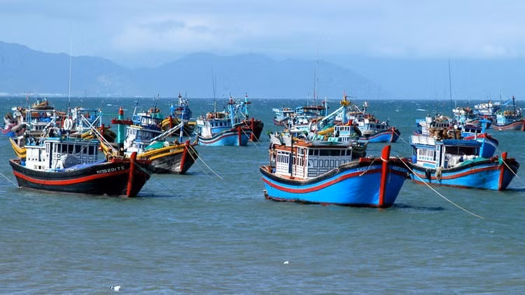 (Иллюстрационное фото: thuysanvietnam.com.vn) 