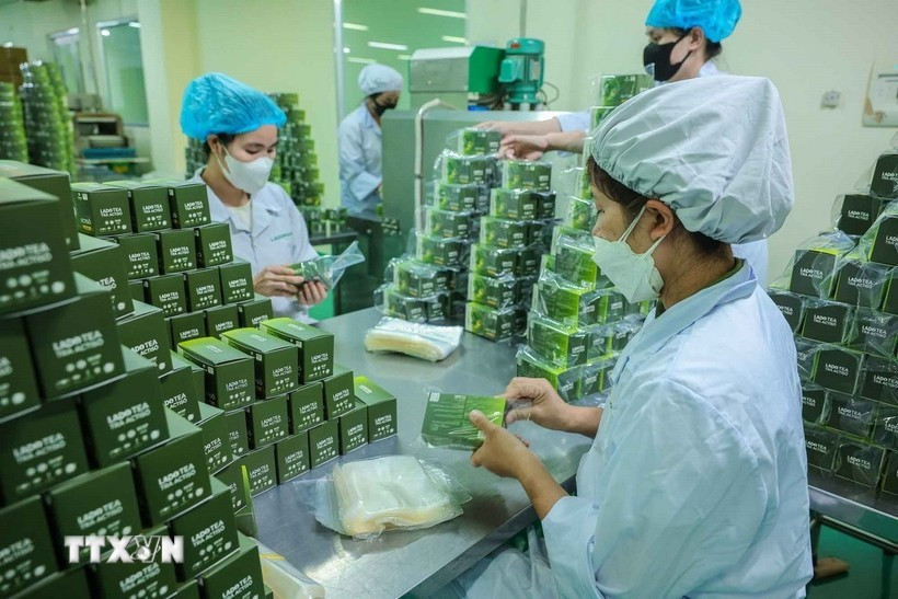 Производство продуктов на основе трав на фармацевтическом предприятии Lam Dong Pharmaceutical JSC. (Фото: ВИA)