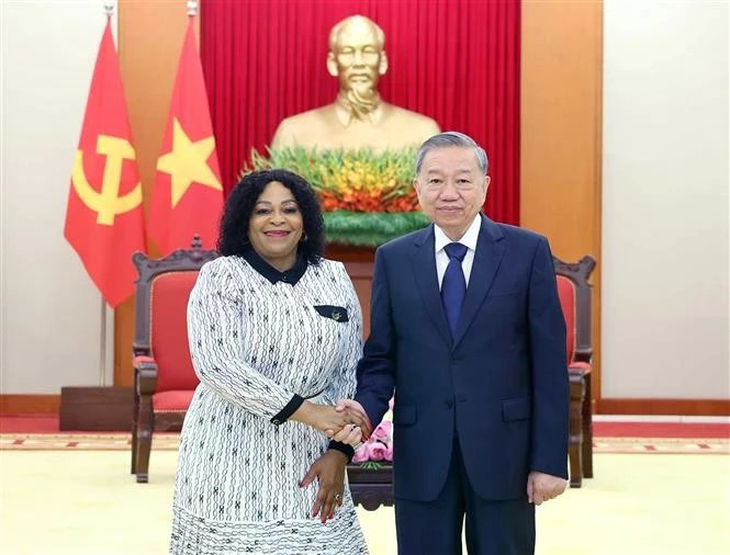 Генеральный секретарь партии То Лам (справа) и первый заместитель генерального секретаря Африканского национального конгресса (АНК) ЮАР Номвула Моконяне на встрече 20 мая в Ханое. (Фото: ВИA)