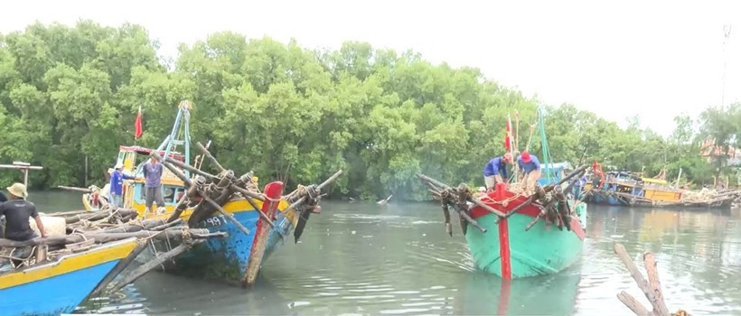 Провинция Донгтхап завершила регистрацию своего флота из 1505 рыболовных судов. (Фото: ВИA)