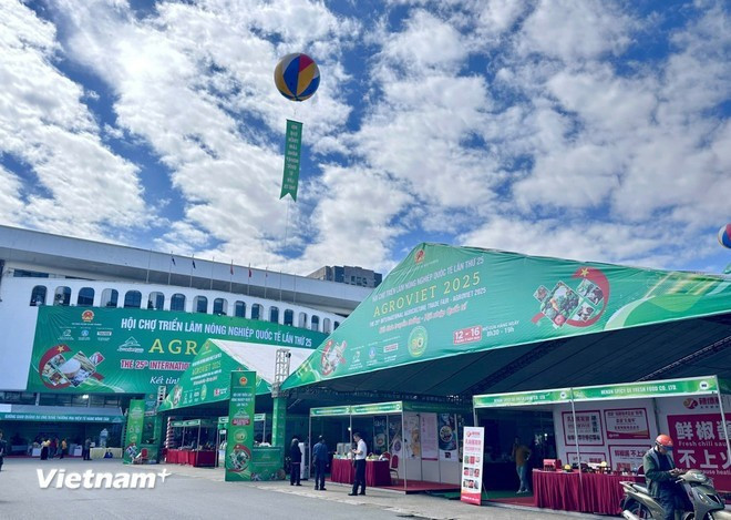 Растущий спрос в Китае открывает значительные возможности для ключевых экспортных товаров Вьетнама. (Фото: VietnamPlus) 