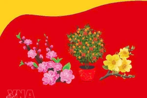 Весенняя ярмарка - 2026: зона “Краски вьетнамской весны”