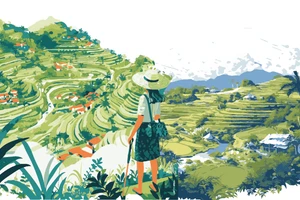 Количество иностранных туристов, прибывших во Вьетнам, увеличилось на 21,5% за период с января по октябрь