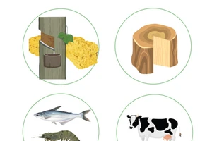 Экспорт сельскохозяйственной, лесной и рыбной продукции увеличился на 10,7% за 4 месяца 2025 г.