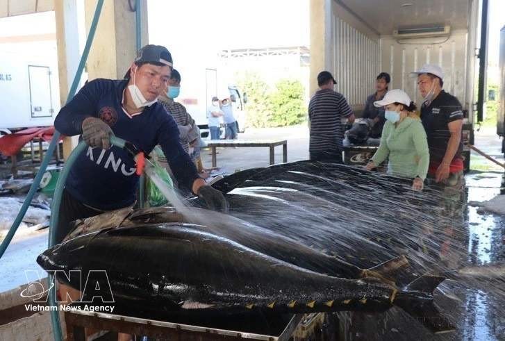 Развитие морепродуктовой отрасли Вьетнама: переход к высокотехнологичной, «зеленой» и устойчивой модели