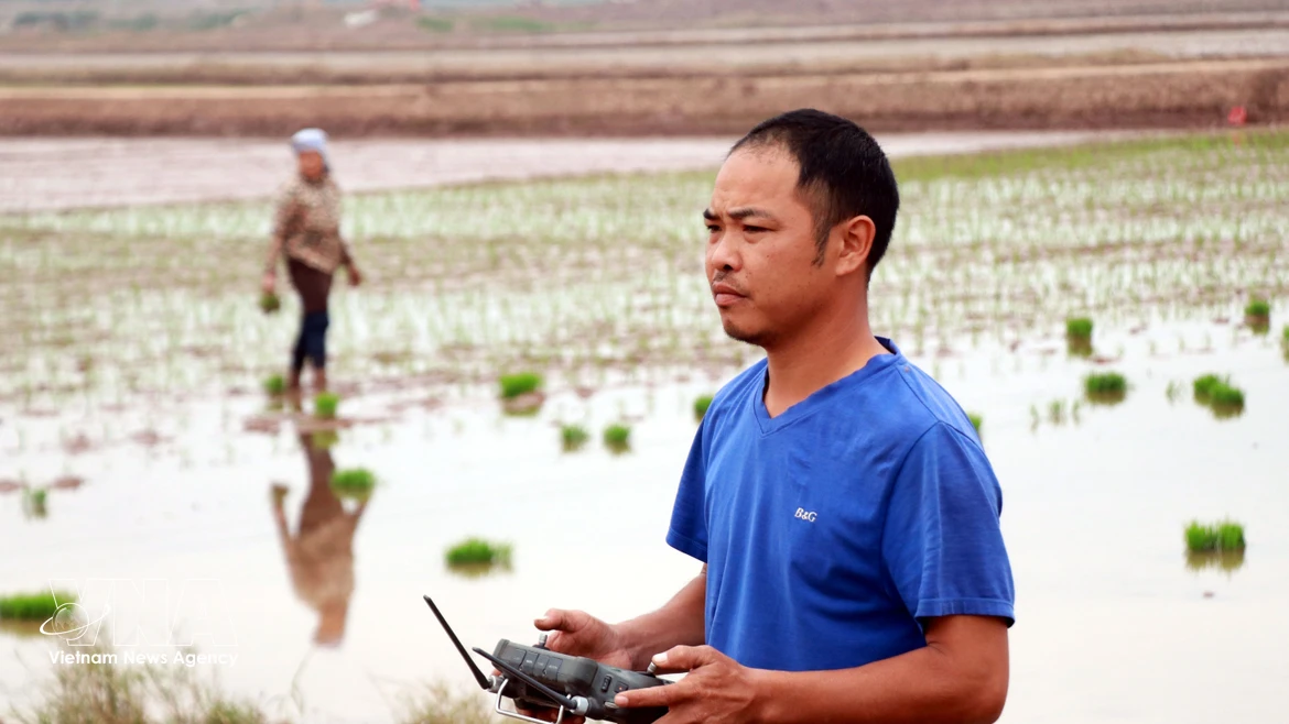 Сеять «технологии» на органическом поле
