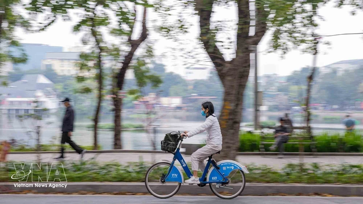 Зелёный транспорт — неизбежное направление устойчивого развития городов