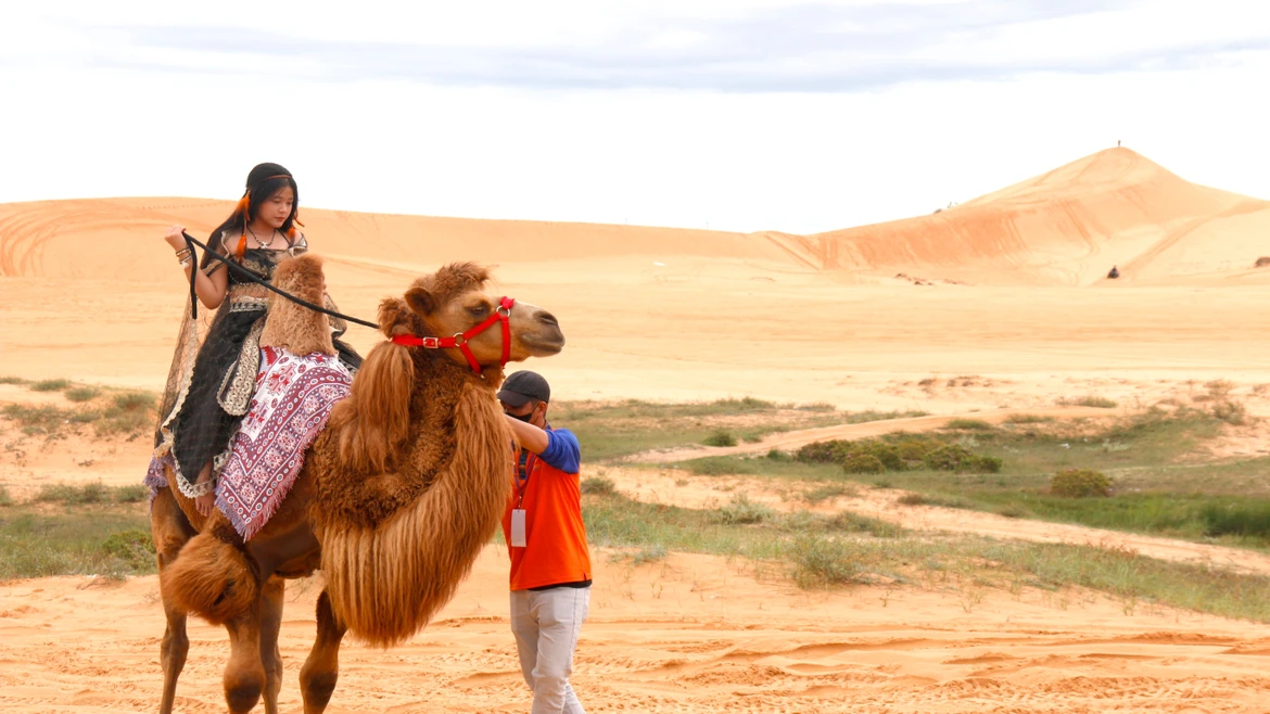 Реализация планировки Национальной туристической зоны Муйне