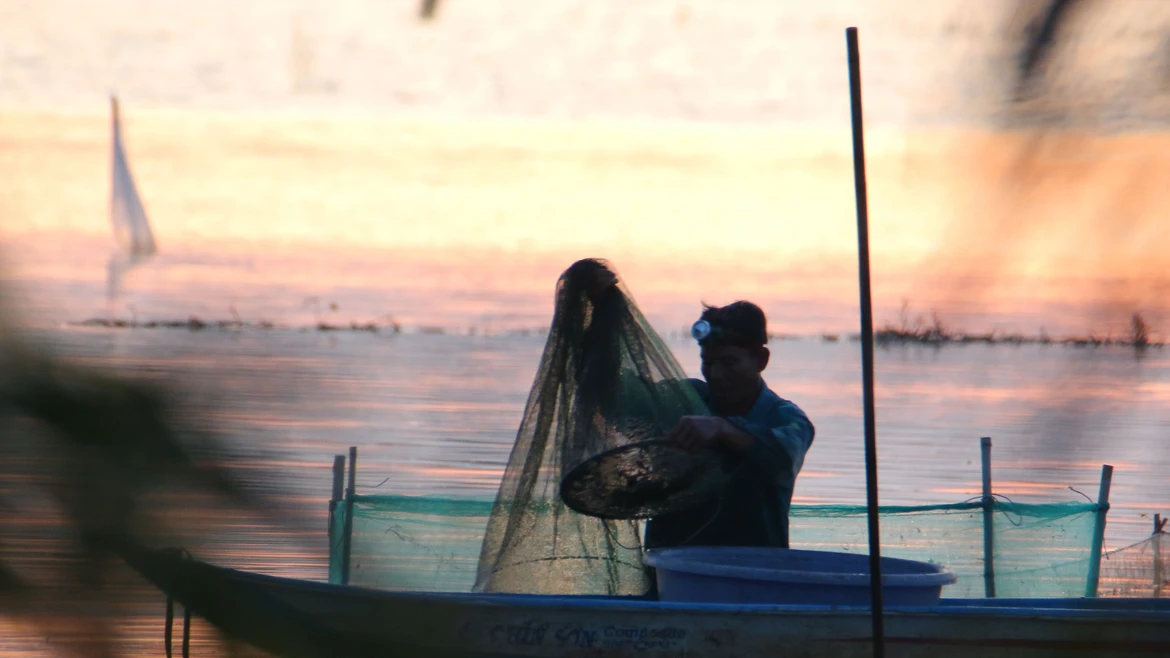 Богатый урожай речной рыбы в Кантхо после многих лет «неурожая» из-за отсутствия наводнений