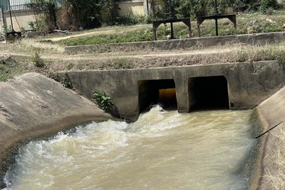 За счет инвестиций из средств ОПР и льготных кредитов многие проекты по ирригации эффективно способствовали развитию сельского хозяйства в южных районах провинции Кханьхоа (Фото: ВИА)