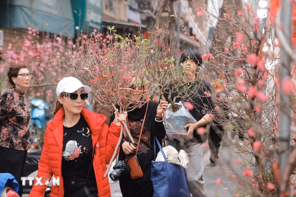 В этом году Народный комитет квартала Хоанкьем расширил пространство цветочного рынка с целью создания привлекательного места для отдыха и предновогодних покупок жителей и туристов. Цветочный рынок будет организован вдоль улиц Ханглыок, Хангкхоай, Хангзыой, Хангма и на улице с настенными росписями Фунгхынг. Фото: ВИА.