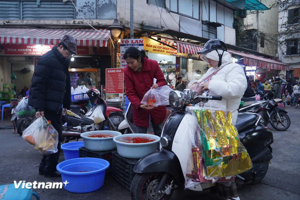 Золотой карп также является неотъемлемым подношением на алтаре в честь Онг Конг Онг Тао. Фото: Vietnam+.