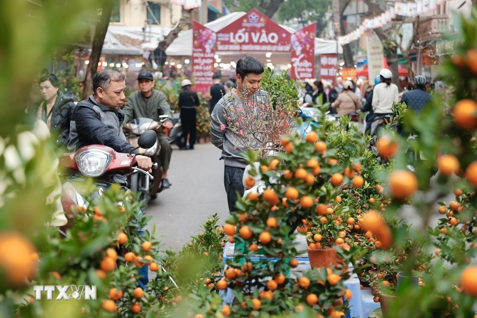 Жители встречают Весну и совершают покупки в преддверии Тэт. Фото: ВИА.