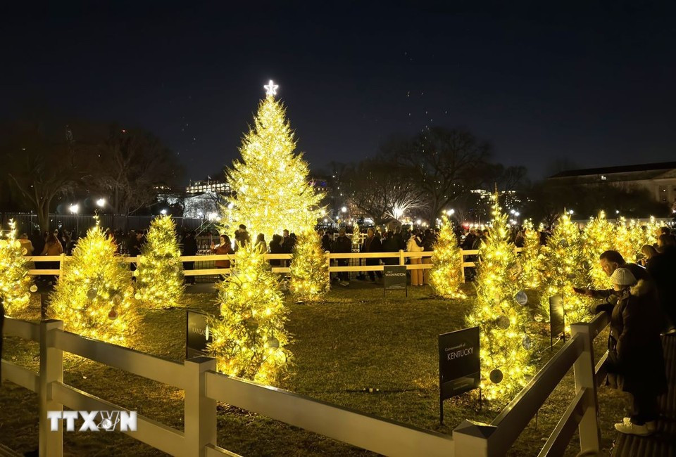 На прилегающей территории установлены 59 небольших новогодних елей, символизирующих 50 штатов, федеральный округ Вашингтон (округ Колумбия) и 5 заморских территорий США. Фото: ВИА.