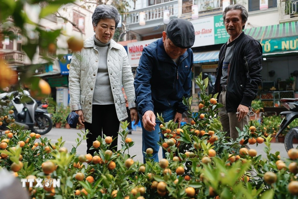 Жители столицы посещают цветочный рынок, гуляют и совершают покупки в преддверии Тэт. Фото: ВИА.