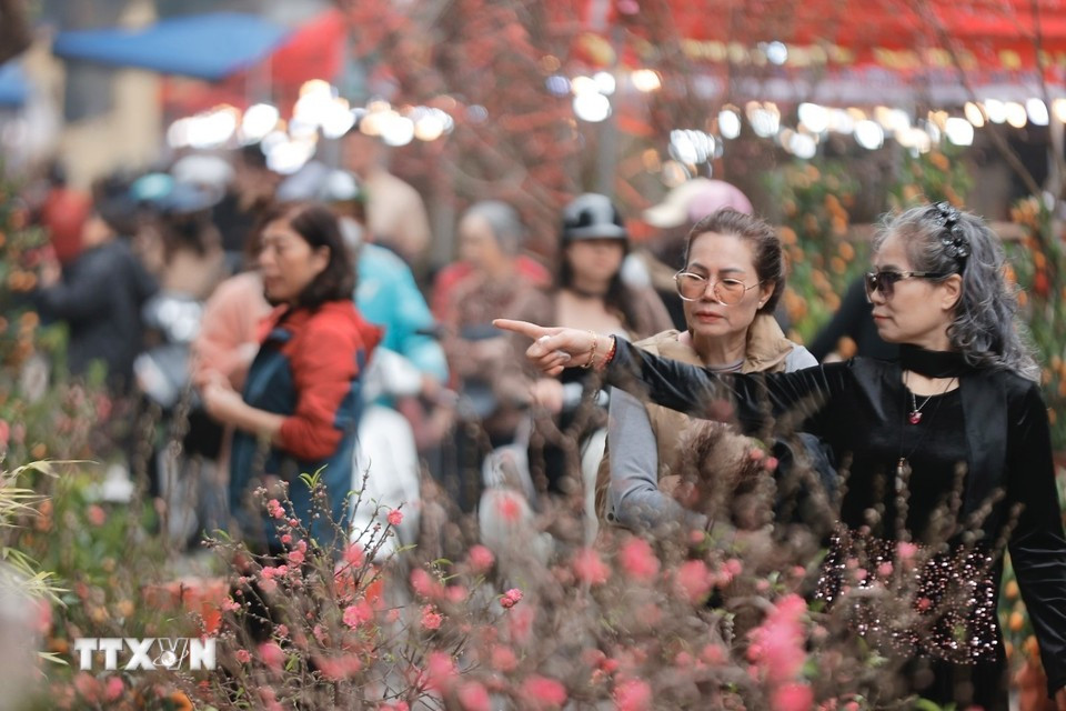 Жители прогуливаются по цветочному рынку, осматривают и покупают товары в преддверии Тэт. Фото: ВИА.