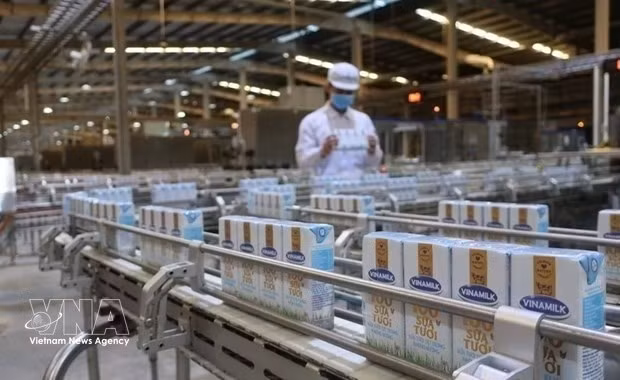 Производственная линия молочной продукции компании Vinamilk. (Фото: ВИА) 