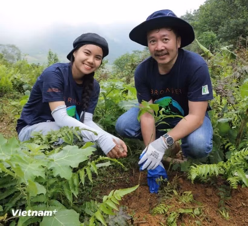 Посадка 6000 саженцев местных пород деревьев в деревне Набай общины Ванхо провинции Шонла. (Фото: VietnamPlus)