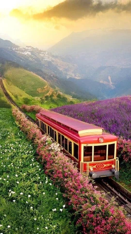 Вьетнам подтверждает всё более прочные позиции на глобальной туристической карте