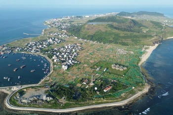 На острове Лишон под выращивание лука и чеснока отведено более 320 гектаров, на которых ежегодно производится около 3 000 тонн. (Фото: ВИА)