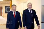 Премьер-министр Австралии Энтони Албанезе встречает Генерального секретаря, Президента государства То Лама. Фото: ВИА