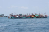 Иллюстративное изображение. Фото: ВИА 