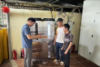 Кооператив в провинции Бакнинь инвестирует в высокопроизводительную сушильную установку для переработки фруктов. (Фото: ВИA)