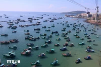 Свыше 28 000 рыболовных судов по всей стране оснащены системой мониторинга промысловых судов (VMS), что составляет более 99% от числа судов, для которых установка является обязательной. (Фото: VietnamPlus) 