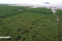 Иллюстративное изображение. (Фото: ВИА)