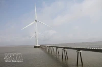 Ветряные электростанции в провинции Камау работают с совокупной мощностью более 1 610 МВт. (Фото: ВИА) 