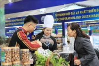 Вид на 25-ю Вьетнамско-Китайскую международную торговую ярмарку в провинции Лаокай. (Фото: ВИА)