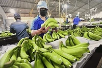 Иллюстративное изображение (Фото: ВИА) 