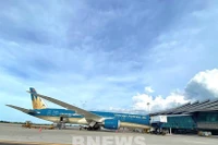 Самолёт авиакомпании Vietnam Airlines. (Иллюстративное изображение. (Фото: ВИА) 