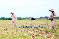 Члены группы MAG ведут работы по разминированию в общине Дайчать, провинция Куангчи. (Фото: ВИА)