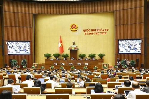 На 9-й сессии Национального собрания 15-го созыва 17 июня (Фото: ВИA) 2-9194.jpg