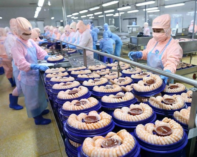 Корпорация Minh Phu Seafood обрабатывает креветки для экспорта на рынки США и Японии. (Фото: ВИA) 2-7790.png