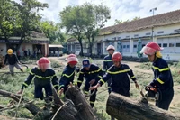 Устранение последствий падения деревьев на территории средней школы им. Нгуен Хонг Шона, квартал Суандай, провинция Даклак (Фото: ВИА)