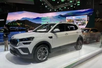 Skoda Kushaq находится в сегменте внедорожников B-сегмента