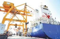 Деятельность по импорту и экспорту товаров в порту Хайфон (Фото: nhandan.vn)