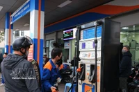 Два «крупных игрока» заранее внедряют решения по продаже бензина E10RON95 опережающими темпами» (Фото: ВИА)
