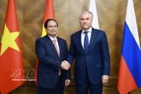 Премьер-министр Фам Минь Тьинь провёл встречу с Председателем Государственной Думы РФ Вячеславом Володиным (Фото: ВИА)