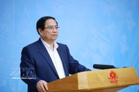 Премьер-министр Фам Минь Тьинь председательствует на онлайн-конференции, посвящённой развитию «серой экономики» в мире и адаптации политики и стратегии Вьетнама (Фото: ВИА)