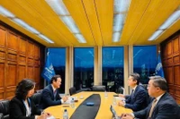 Посол Май Фан Зунг проводит рабочую встречу с представителями Всемирной организации интеллектуальной собственности (ВОИС) (Фото: ВИА)