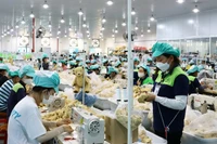 Рабочие на производстве в промышленной зоне Зулонг, провинция Кханьхоа.