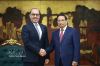 Премьер-министр Фам Минь Тьинь принял Халид Али Абдулла Абель, Чрезвычайного и Полномочного Посла Государства Катар во Вьетнаме (Фото: ВИА)