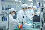 Привлечение иностранных инвестиций - яркое пятно вьетнамской экономики в 2024 году